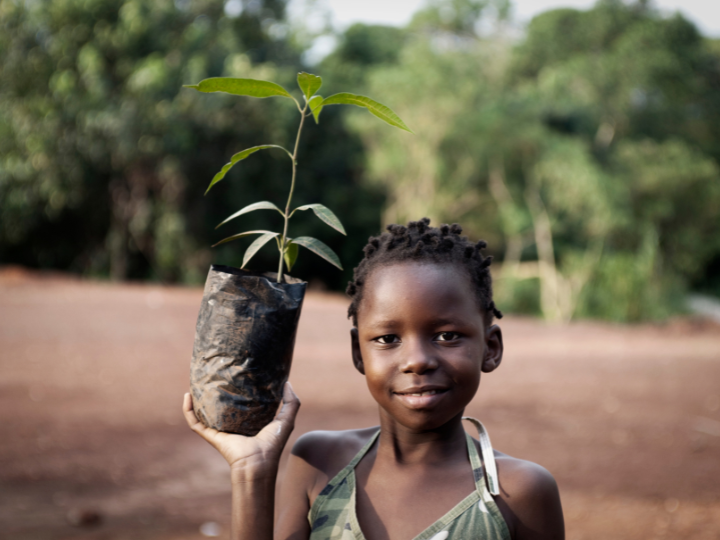 Environmental Conservation and Climate Action